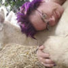 alpacawhimsy12